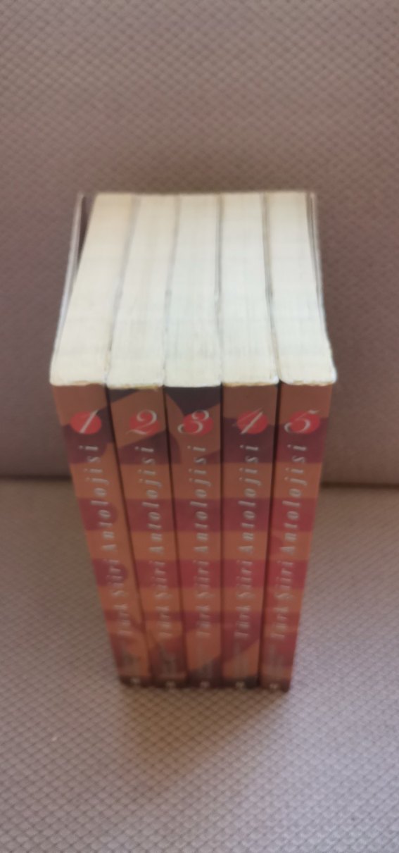 Cumhuriyetten Günümüze Türk Şiiri Antolojisi - Görsel 3