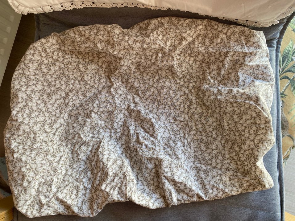 Bej Emzirme ve Hamile Yastığı - Görsel 4