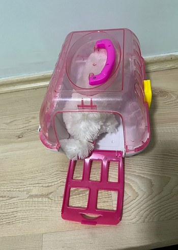  Beden Pembe Taşıma Kutulu Peluş Kedi Seti