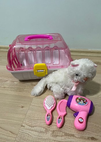 Pembe Taşıma Kutulu Peluş Kedi Seti
