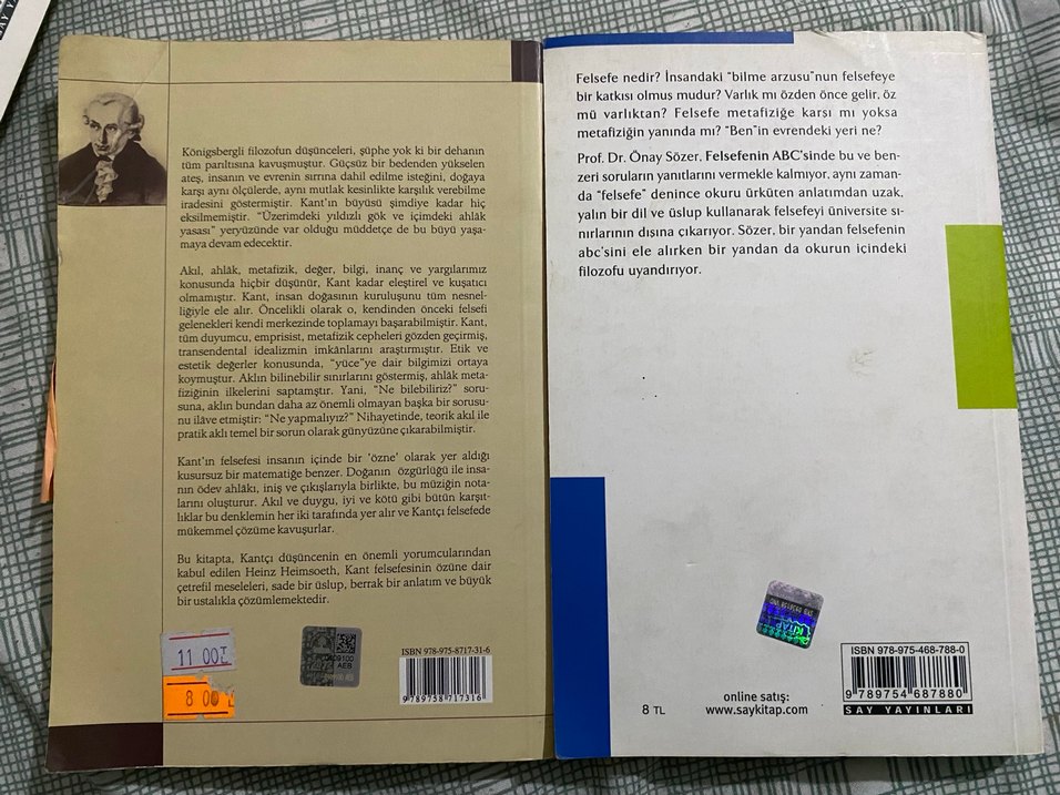 Felsefik kitap - Görsel 2