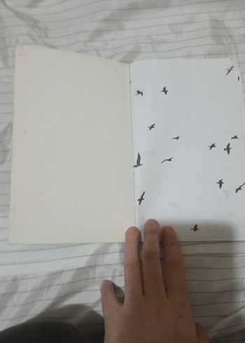 Martı Jonathan Livingston - Richard Bach - Görsel 2