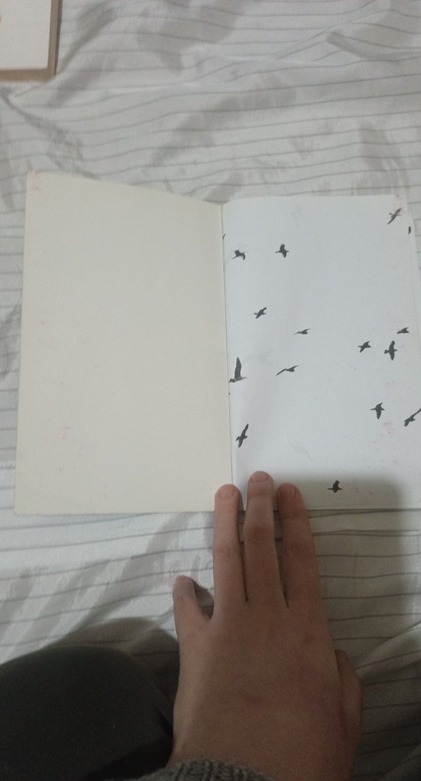 Martı Jonathan Livingston - Richard Bach - Görsel 2