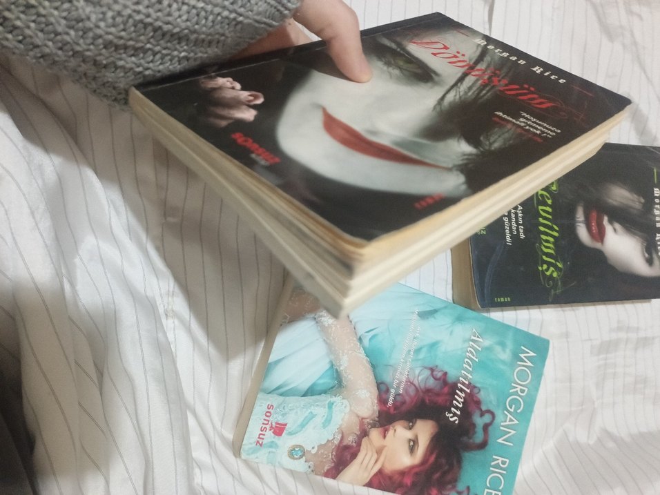 Morgan Rice - Dönüşüm, Aldatılmış, Sevilmiş, Roman Seti - Görsel 2