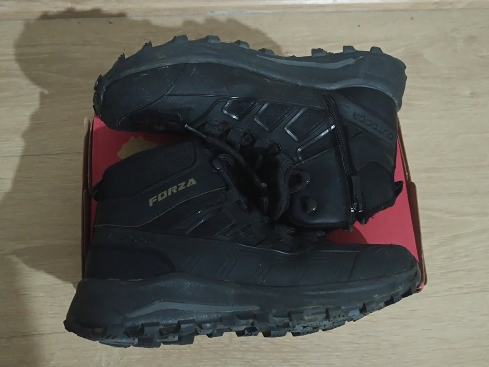 FORZA BOT - Görsel 3