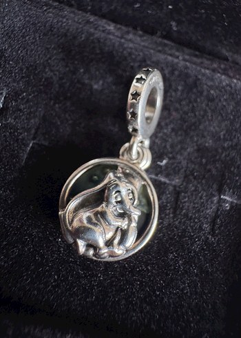 Pandora charm - Görsel 3