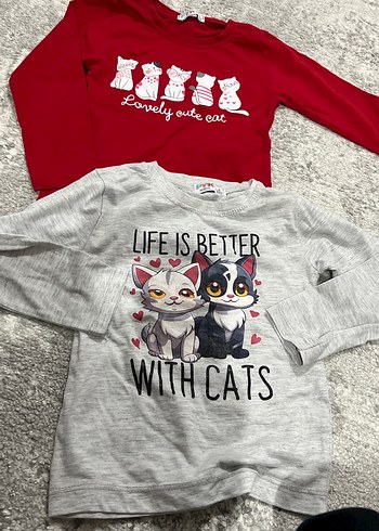 Kız Çocuk Gri ve Kırmızı Uzun Kollu Pamuklu Tişört - Görsel 2