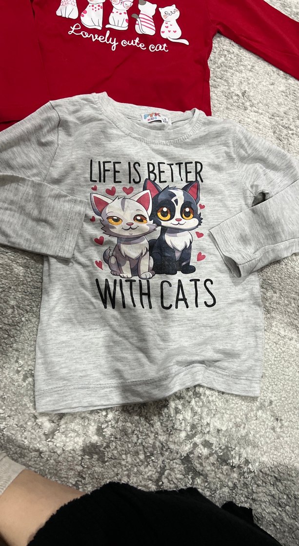 Kız Çocuk Gri ve Kırmızı Uzun Kollu Pamuklu Tişört - Görsel 3