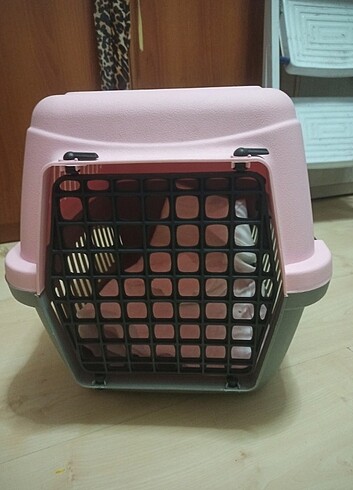  Kedi taşıma kutusu 