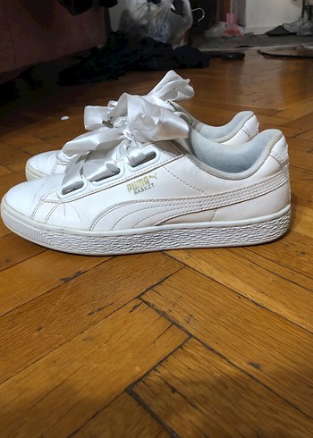 Puma 37