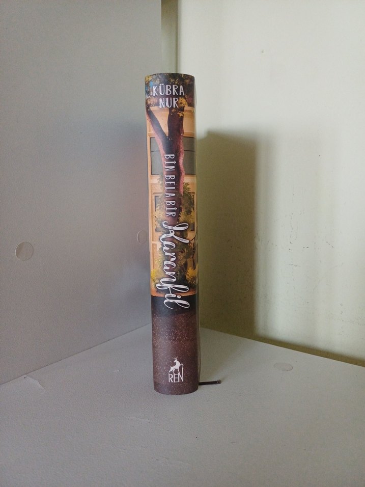 Bir Bin Bela Karanfil - Kübra Nur - Görsel 2