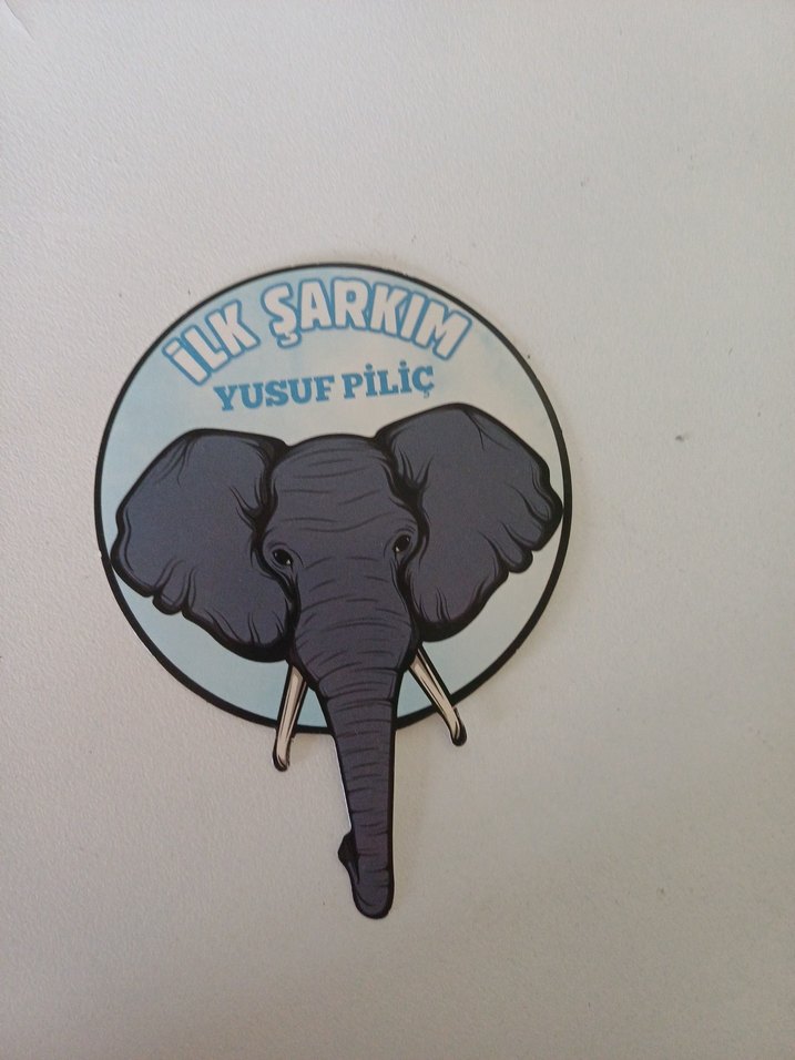 İlk Şarkım - Yusuf Piliç - Görsel 2