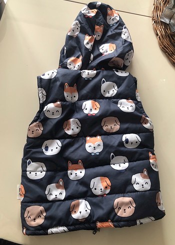 Kapüşonlu, Kürklü, Baskılı Erkek Çocuk Yelek - Görsel 4