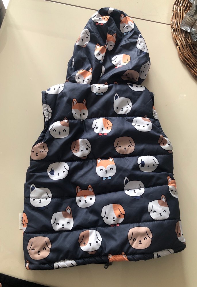 Kapüşonlu, Kürklü, Baskılı Erkek Çocuk Yelek - Görsel 4