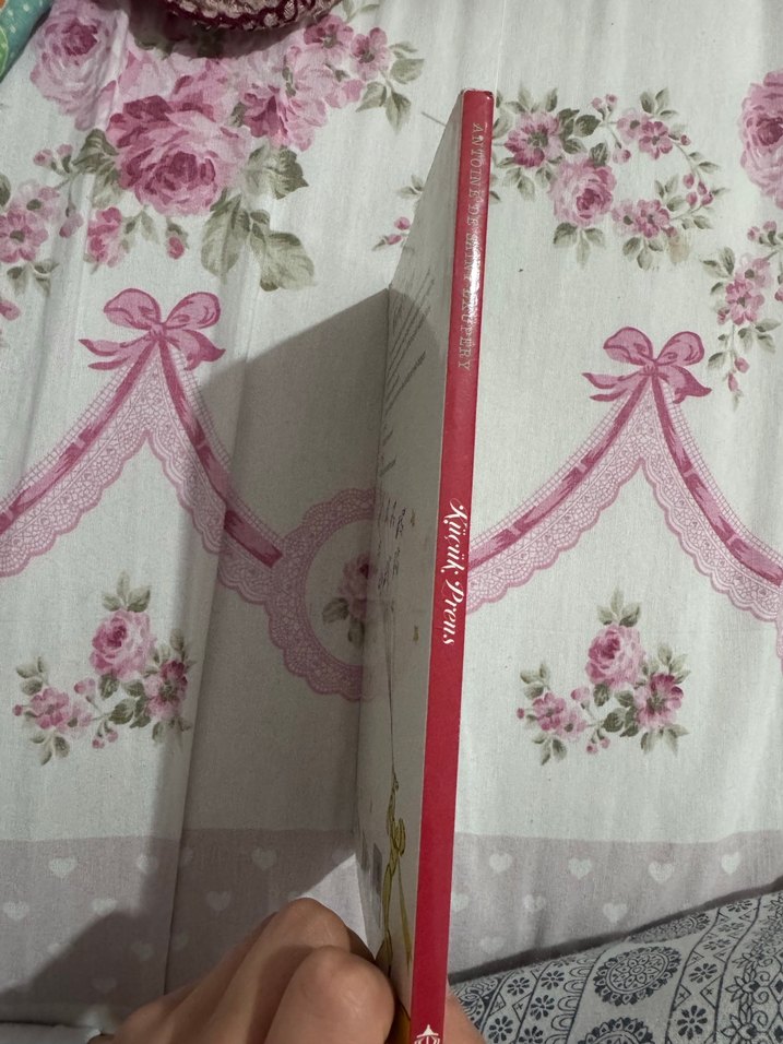 Küçük Prens - Antoine de Saint-Exupéry - Görsel 2