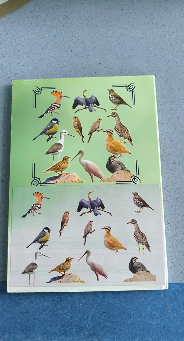 Darphane Anadoluya Özgü Kuşlar Serisi 2020 - Görsel 2