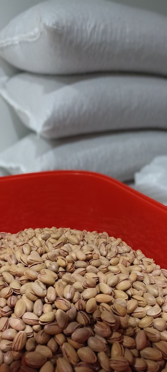 Siirt Fıstığı - Görsel 3