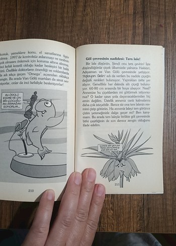 Beden Renk Eğlenceli Gezi Türkiye 2 - Çocuk Kitabı