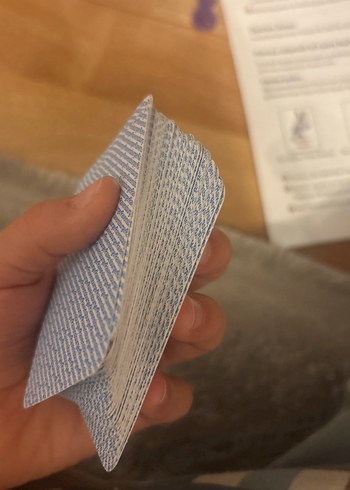 Ravensburger Bay Böcek Firarda& Zıpzıp tavşan - Kutu Oyunları - Görsel 3