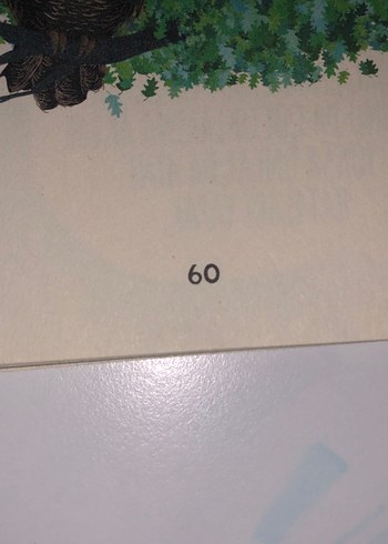 Filozof Meşe - Anooshirvan Miandji - Görsel 10