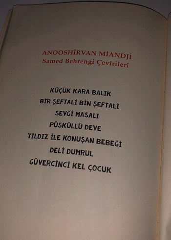 Filozof Meşe - Anooshirvan Miandji - Görsel 8