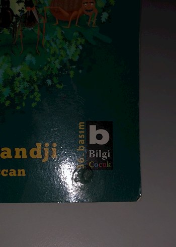 Filozof Meşe - Anooshirvan Miandji - Görsel 2