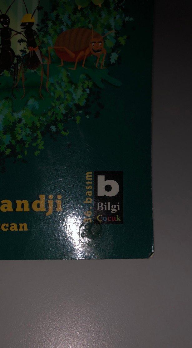 Filozof Meşe - Anooshirvan Miandji - Görsel 2