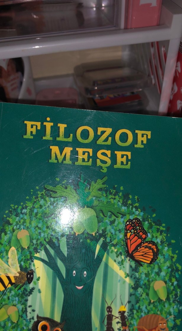Filozof Meşe - Anooshirvan Miandji - Görsel 3