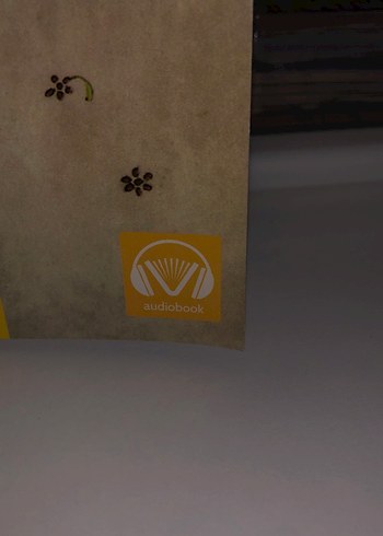 Antoine de Saint-Exupéry - Küçük Prens - Görsel 3