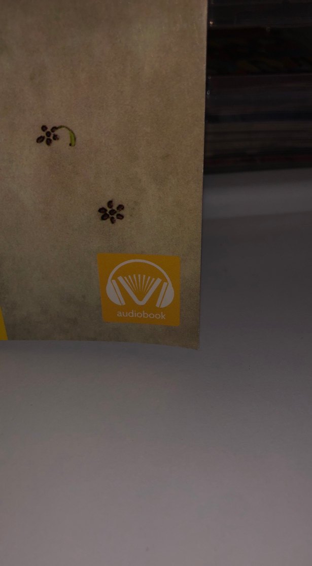 Antoine de Saint-Exupéry - Küçük Prens - Görsel 3