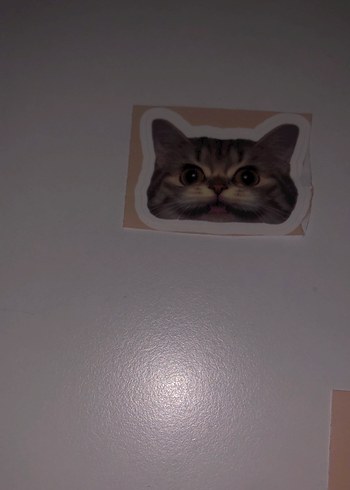 Kahverengi Kedi Desenli Sticker Seti - Görsel 8