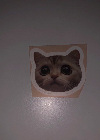 Kahverengi Kedi Desenli Sticker Seti - Görsel 11