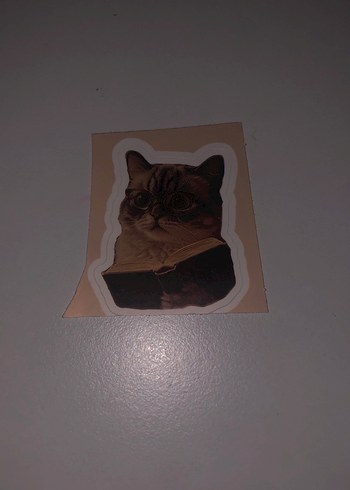 Kahverengi Kedi Desenli Sticker Seti - Görsel 14