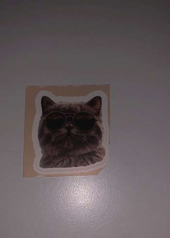 Kahverengi Kedi Desenli Sticker Seti - Görsel 6