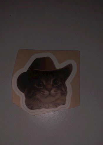 Kahverengi Kedi Desenli Sticker Seti - Görsel 3