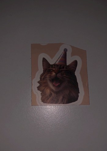 Kahverengi Kedi Desenli Sticker Seti - Görsel 12