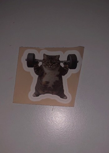 Kahverengi Kedi Desenli Sticker Seti - Görsel 13