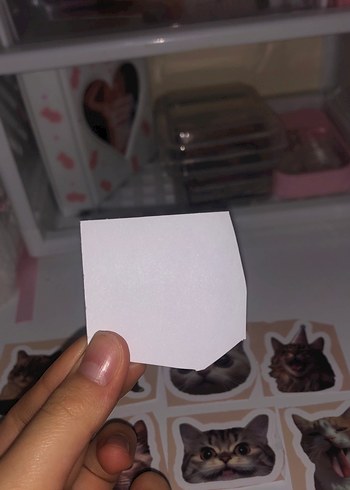 Kahverengi Kedi Desenli Sticker Seti - Görsel 2