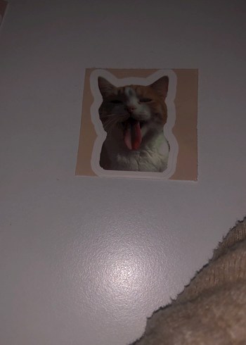 Kahverengi Kedi Desenli Sticker Seti - Görsel 10