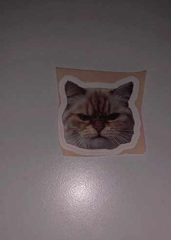Kahverengi Kedi Desenli Sticker Seti - Görsel 7