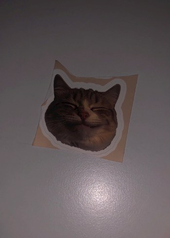 Kahverengi Kedi Desenli Sticker Seti - Görsel 5