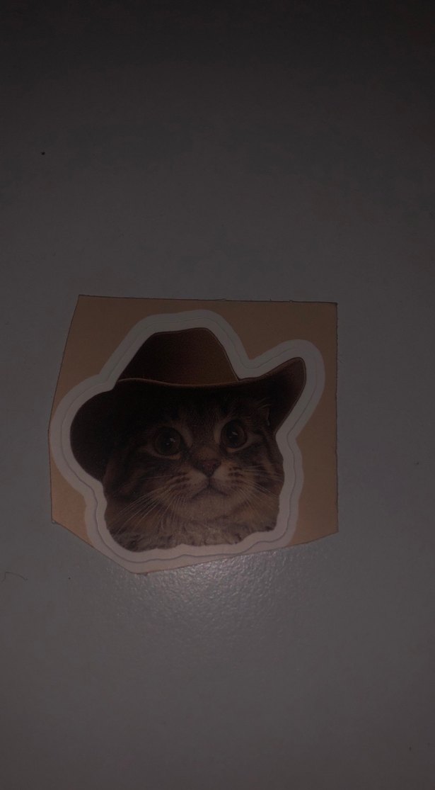 Kahverengi Kedi Desenli Sticker Seti - Görsel 3