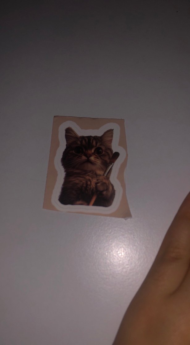 Kahverengi Kedi Desenli Sticker Seti - Görsel 4