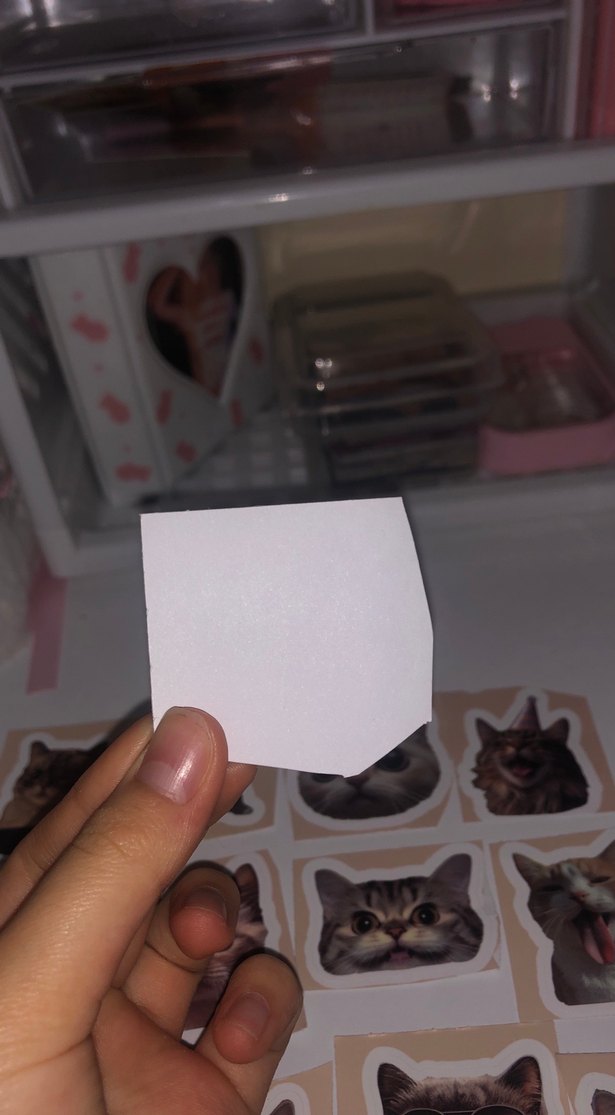 Kahverengi Kedi Desenli Sticker Seti - Görsel 2