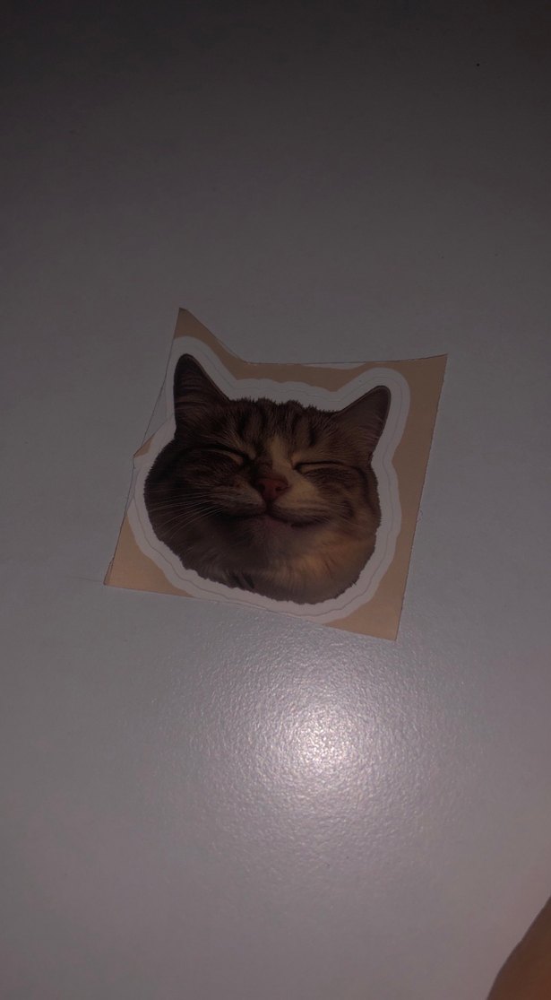 Kahverengi Kedi Desenli Sticker Seti - Görsel 5