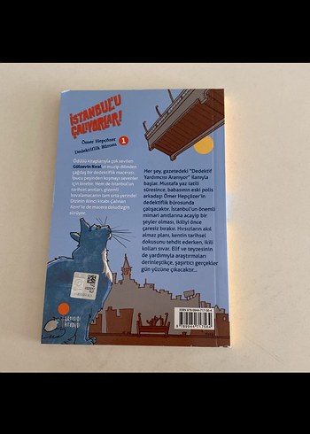 İstanbul'u Çalıyorlar! - Gülsevin Kıral - Görsel 2