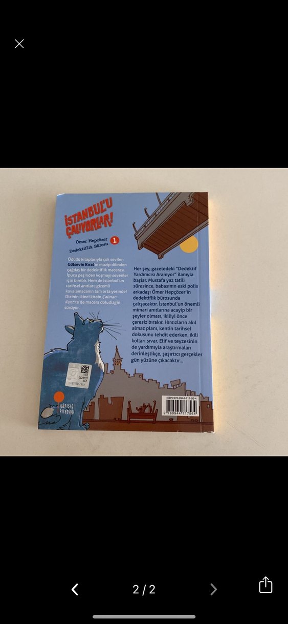 İstanbul'u Çalıyorlar! - Gülsevin Kıral - Görsel 2