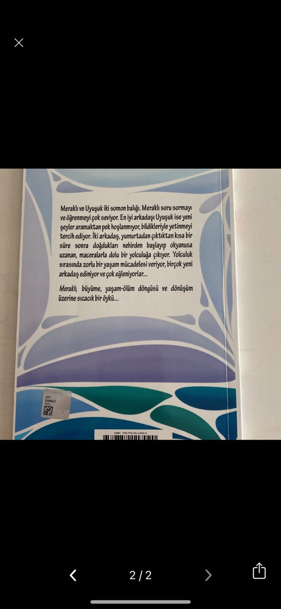 Meraklı - Nilay Yılmaz Çocuk Kitabı - Görsel 2