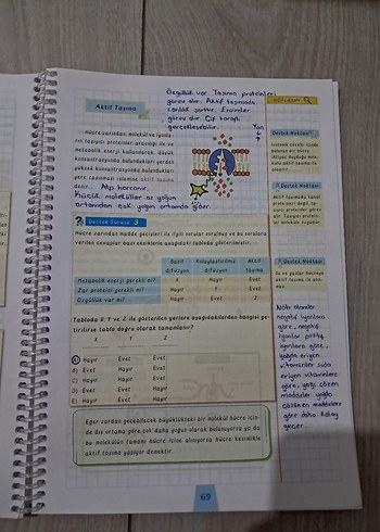 TYT Biyoloji Destek Defterim - Görsel 4