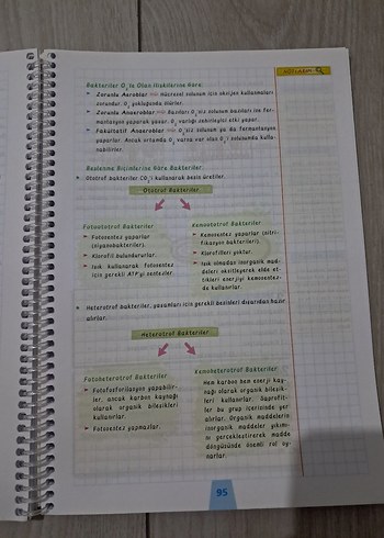 TYT Biyoloji Destek Defterim - Görsel 5